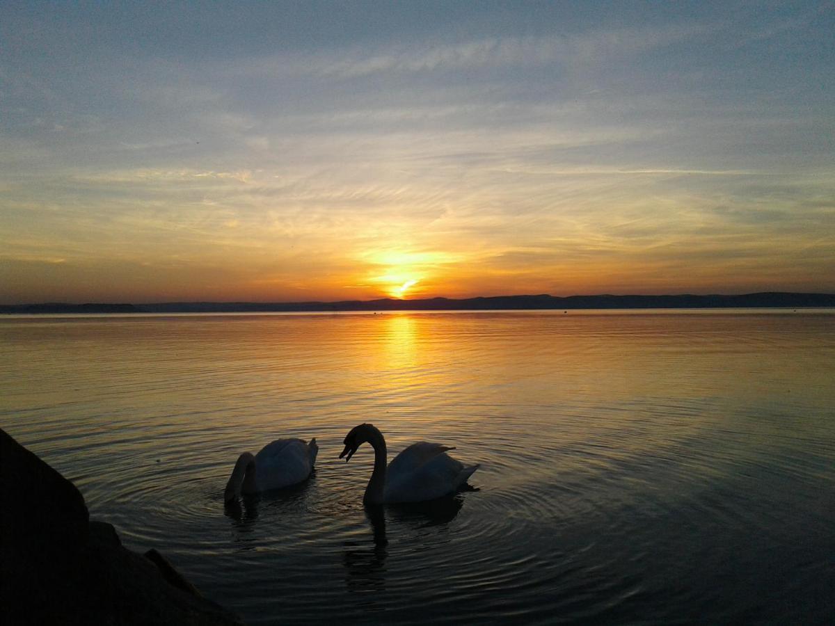 Balaton Wellness Apartman ชิโอฟก ภายนอก รูปภาพ