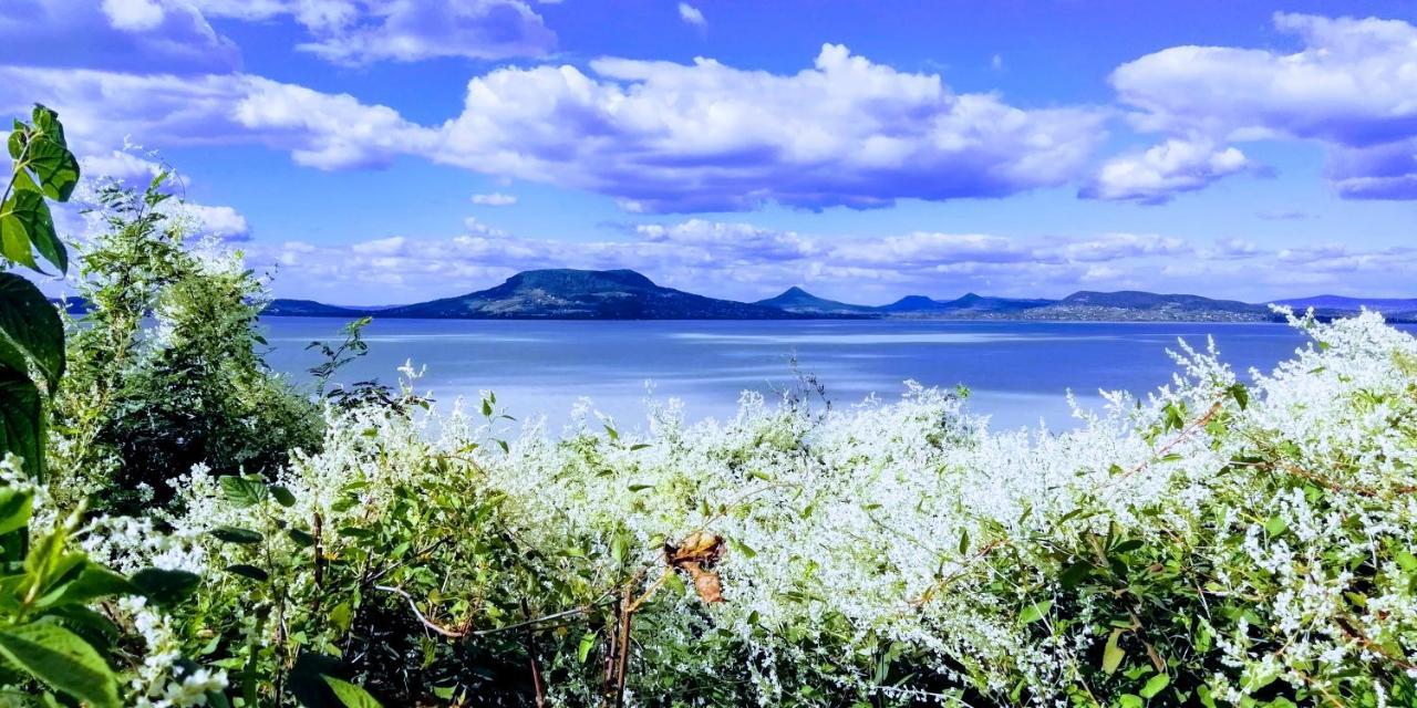 Balaton Wellness Apartman ชิโอฟก ภายนอก รูปภาพ