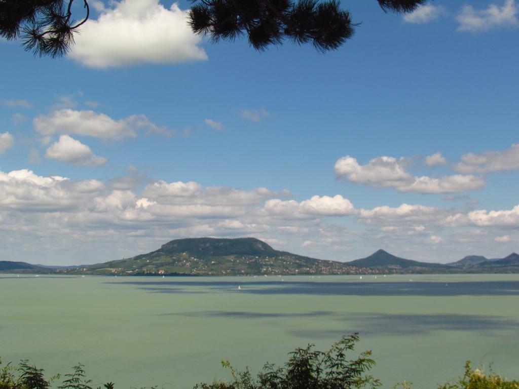 Balaton Wellness Apartman ชิโอฟก ห้อง รูปภาพ